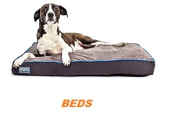 dog bed reviews