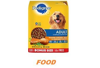 dog food reviews