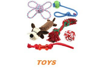 dog toy reviews