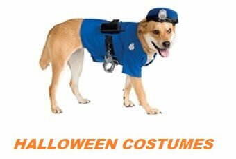 pet halloween costume reviews