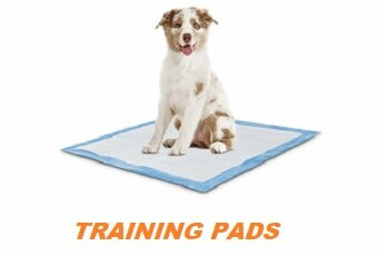 puppy training pad reviews