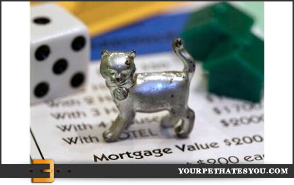 monopoly-cat